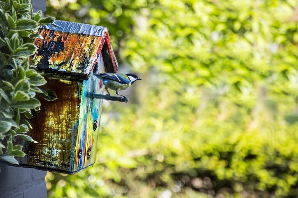 plant hatchery for gardening