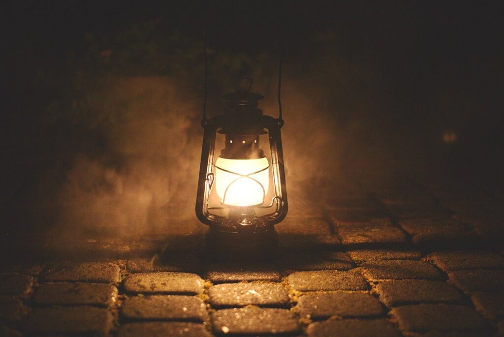 plant lamp