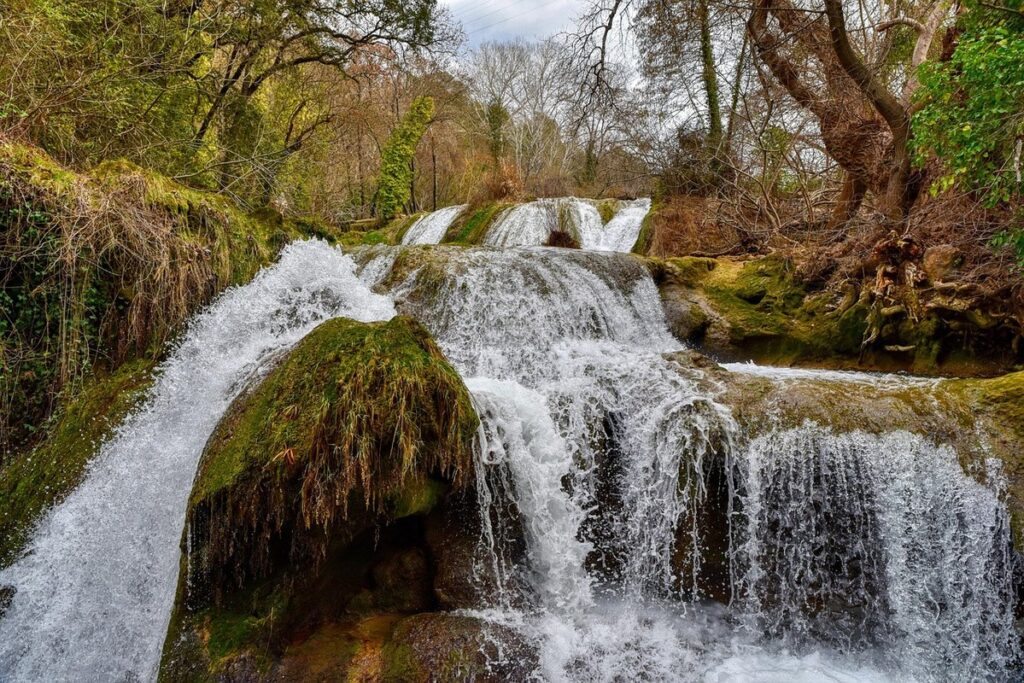 pond stream