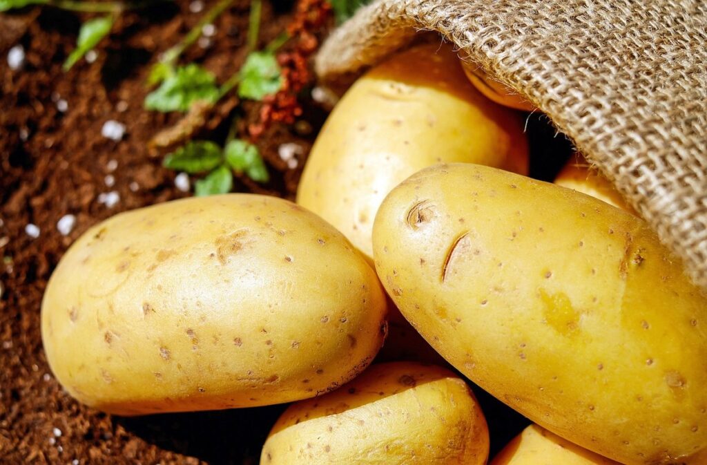 how to grow potatoes from potato eyes