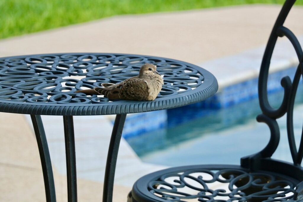 raised patio designs