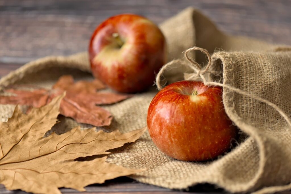 scab in apple