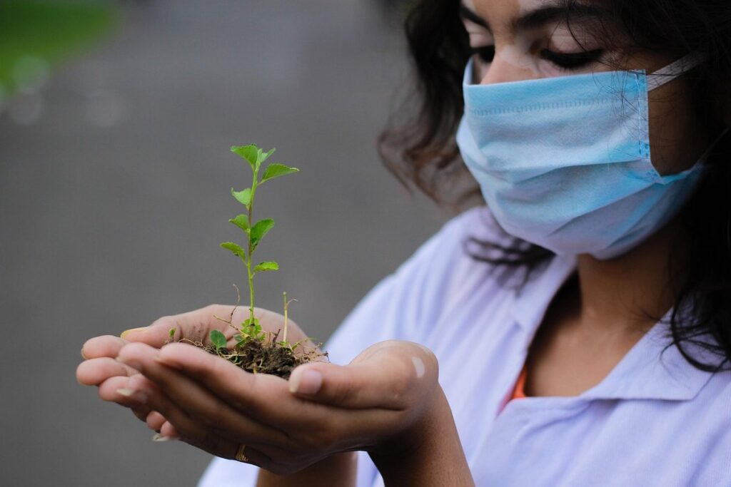 soil conservation techniques