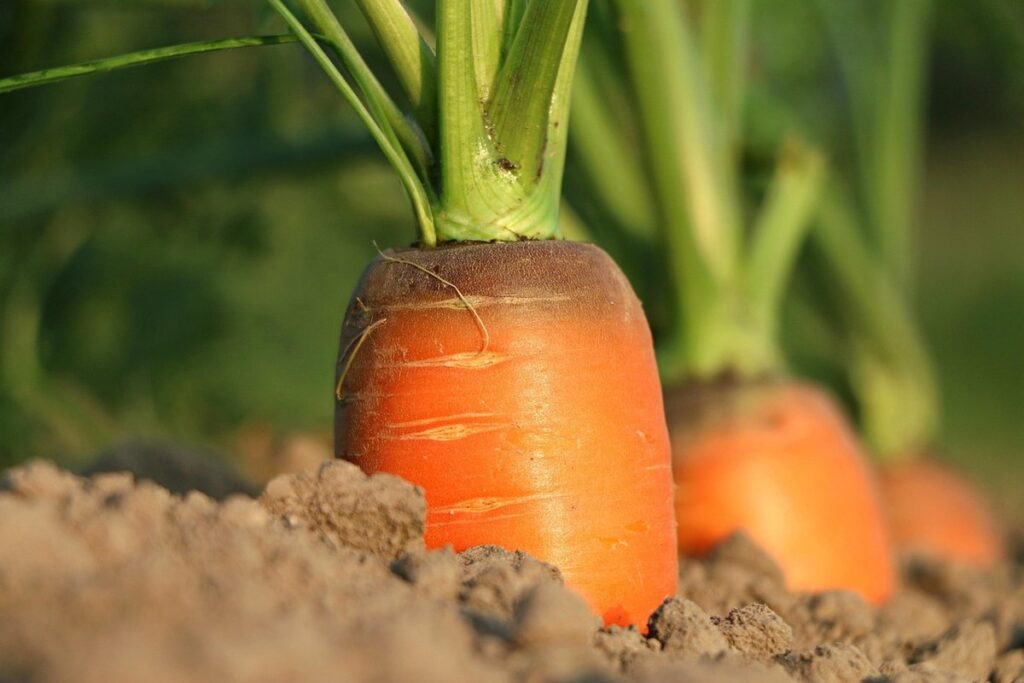 soil health
