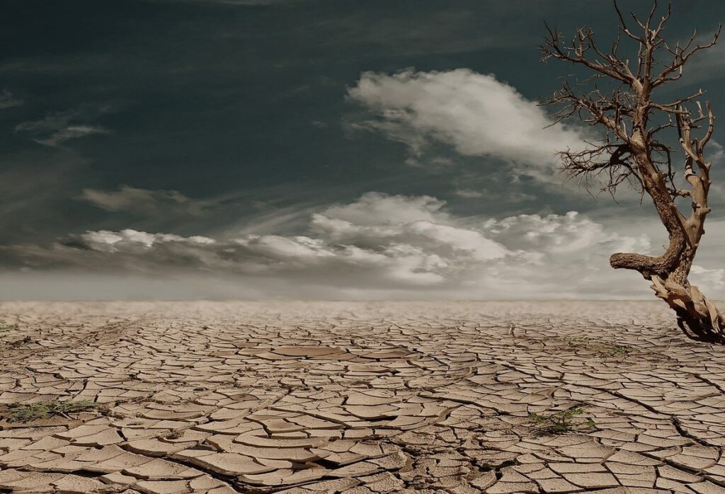 soil horizons