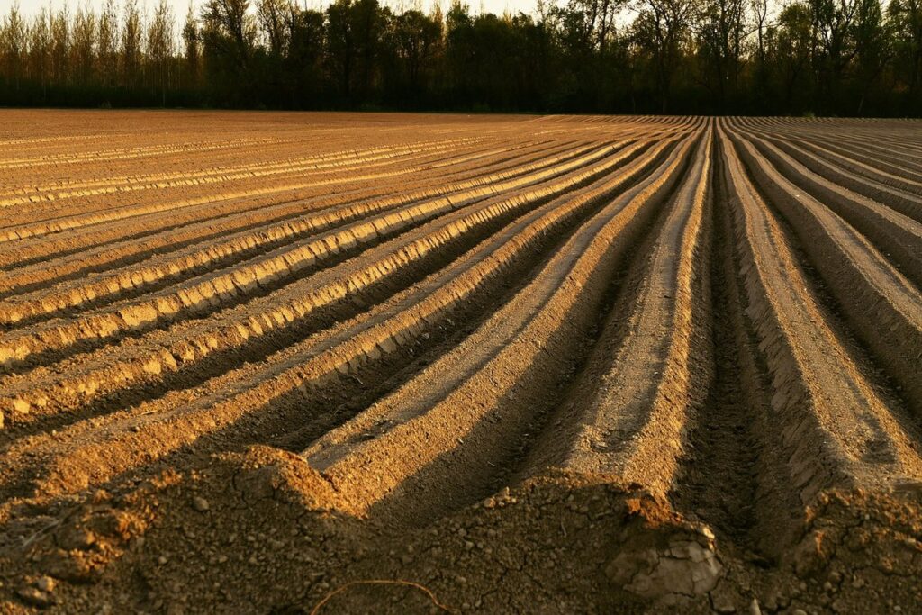lower the ph in soil