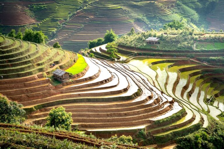 what is soil ph in agriculture