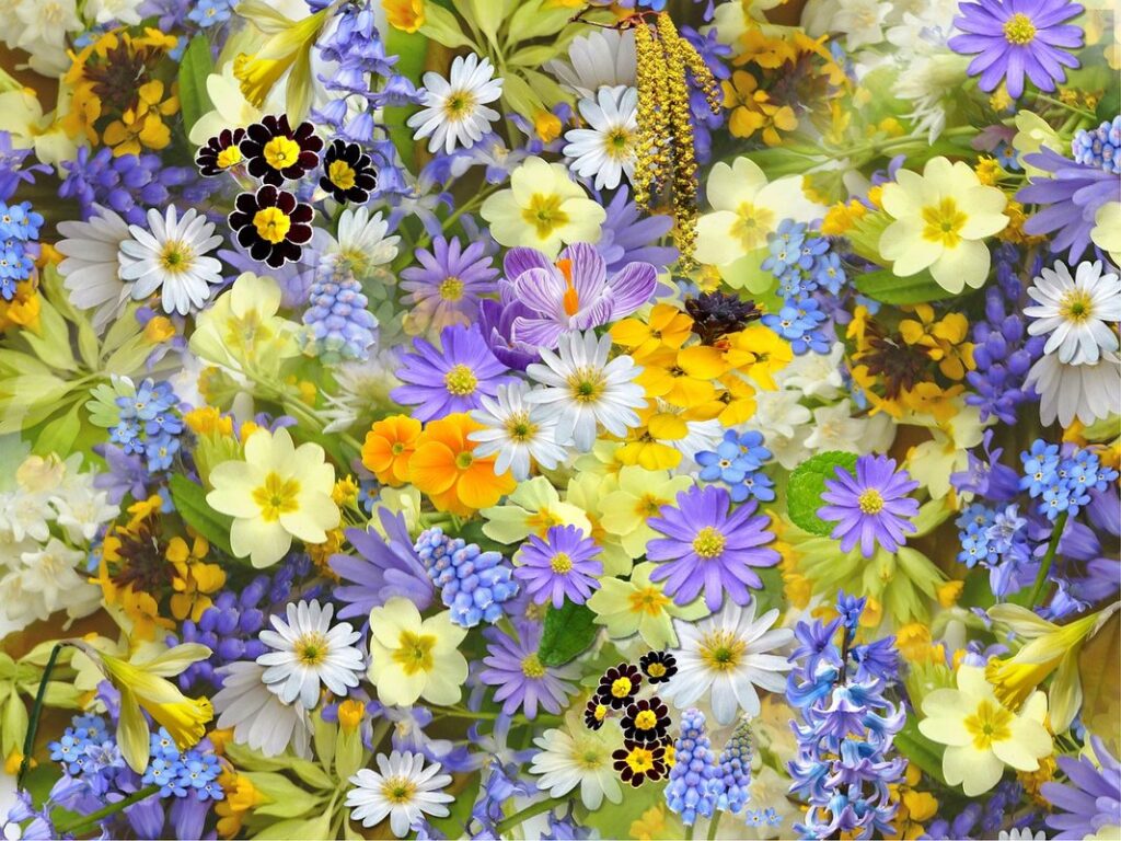 earliest blooming spring flowers