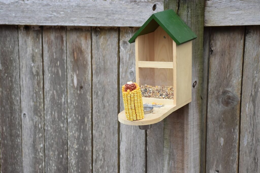 how to keep squirrels out of bird feeders