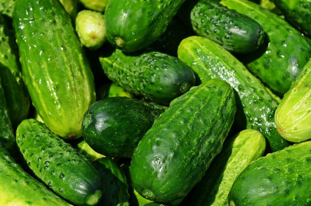 summer vegetables