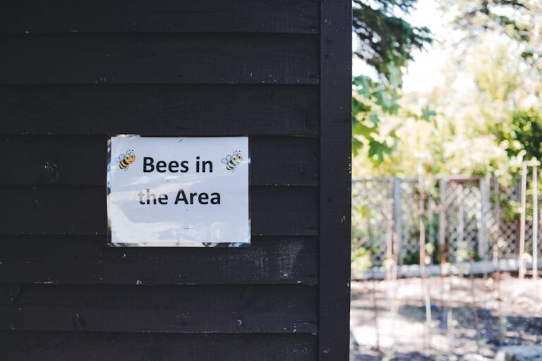 thymol danger in garden beekeeping