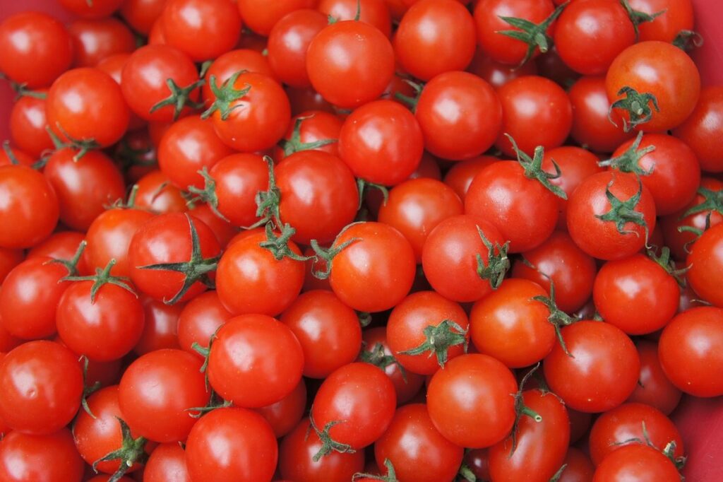 tomato is fruit