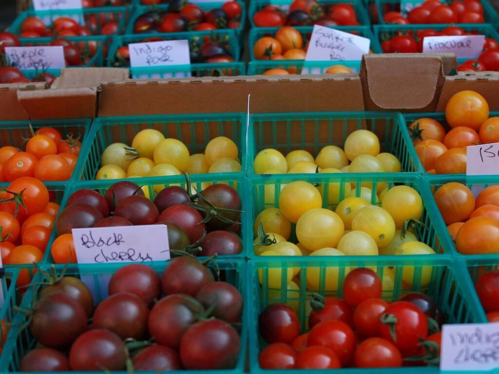 tomato determinate vs indeterminate