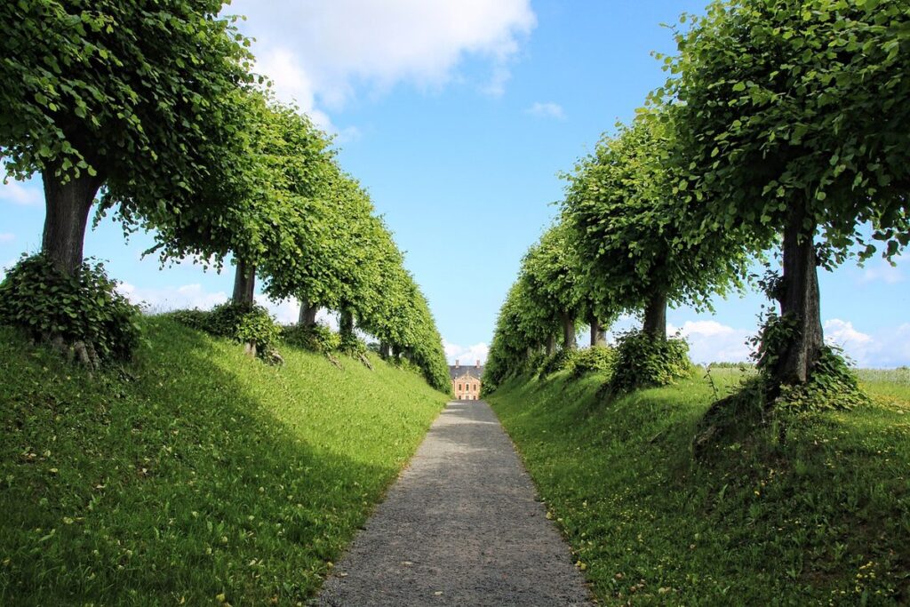 managing tree of heaven in gardens
