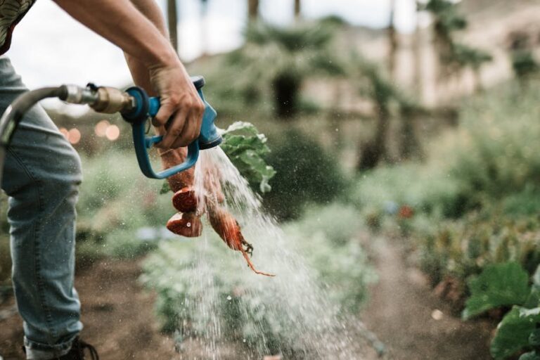 veggie garden watering systems