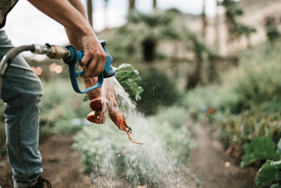 Veggie garden watering systems -> Veggie watering system