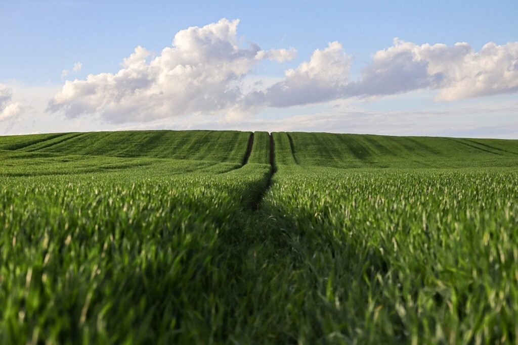 waterlogging in agriculture