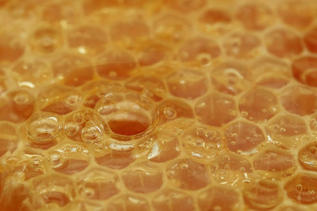 wax moth beekeeping
