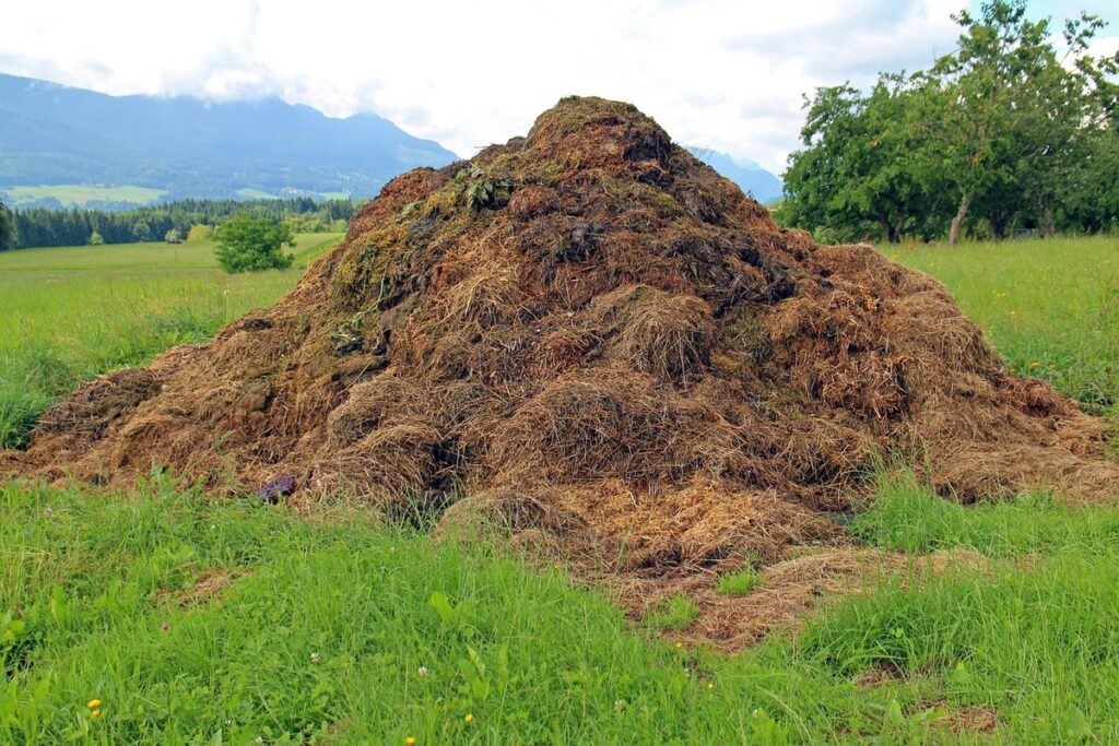 how to set up a worm farm for compost