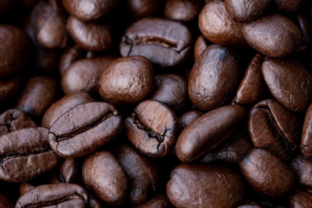are beans a seed