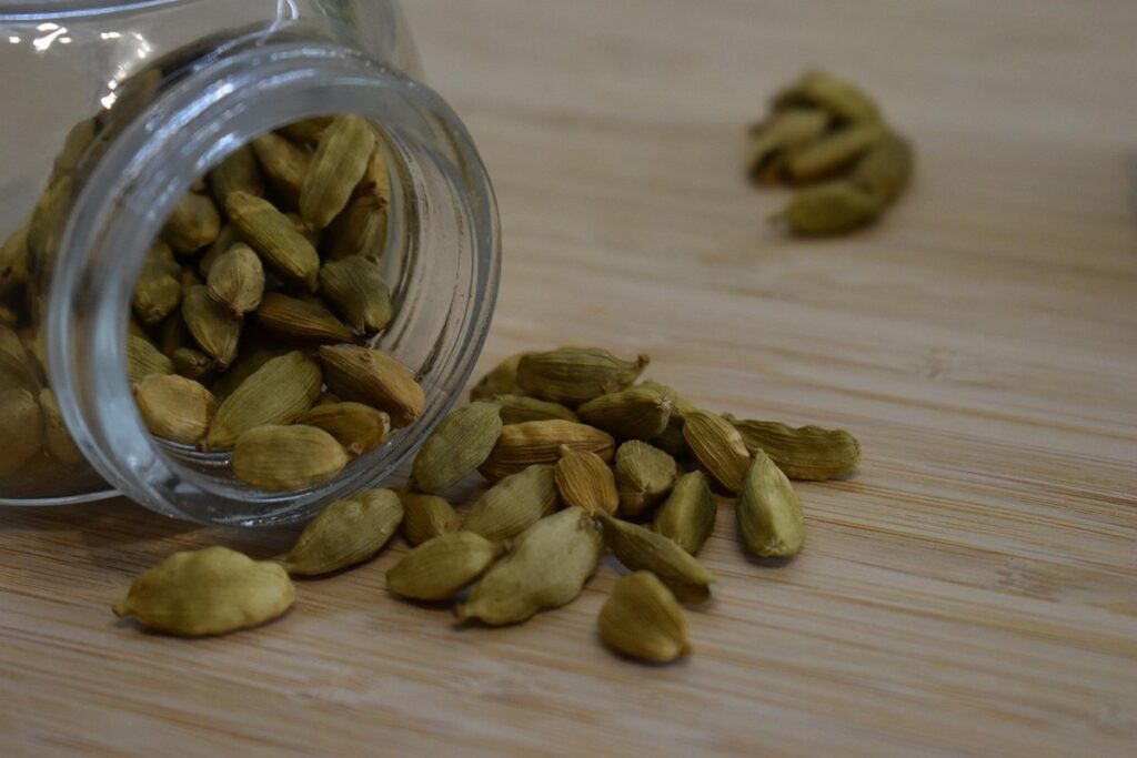 cardamom plants
