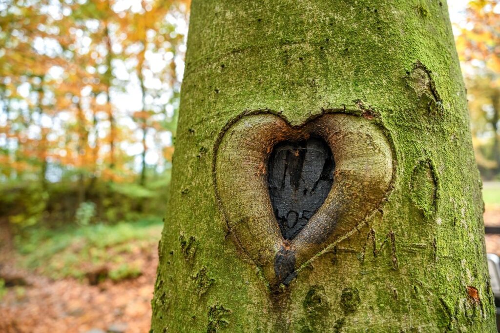 carved tree