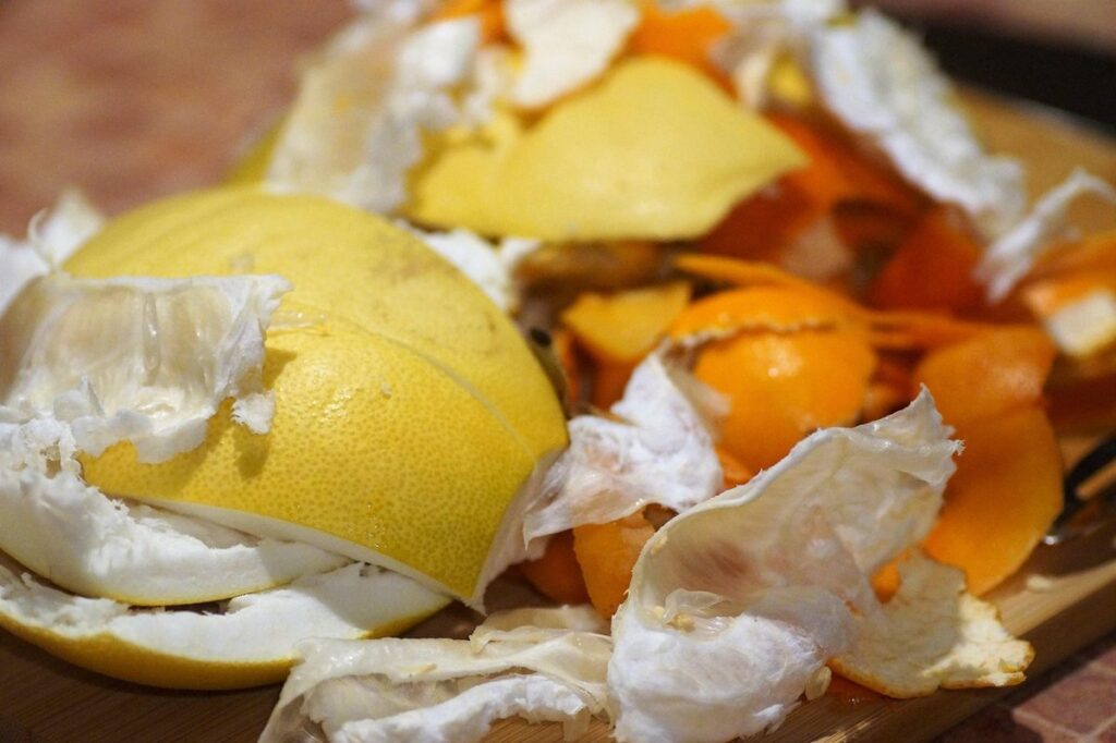 composting fruit flies