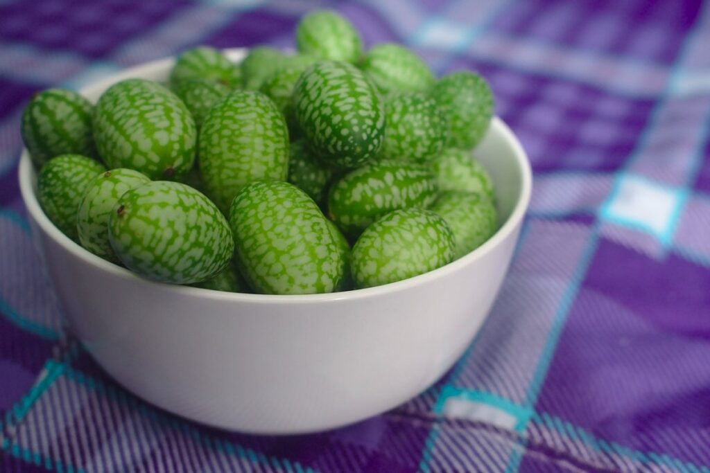 what is a cucamelon