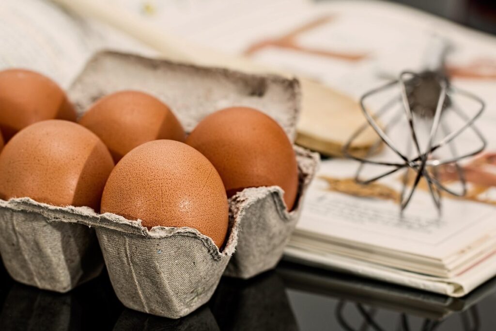 using recycled egg cartons for plant propagation