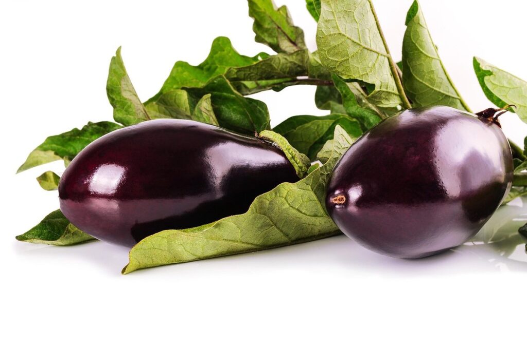 eggplant fruit or vegetable