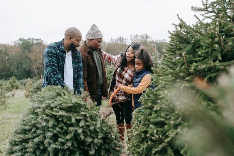 lemonade and christmas trees