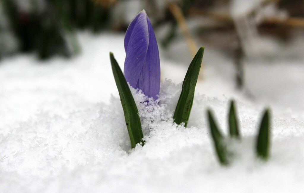 is march winter or spring