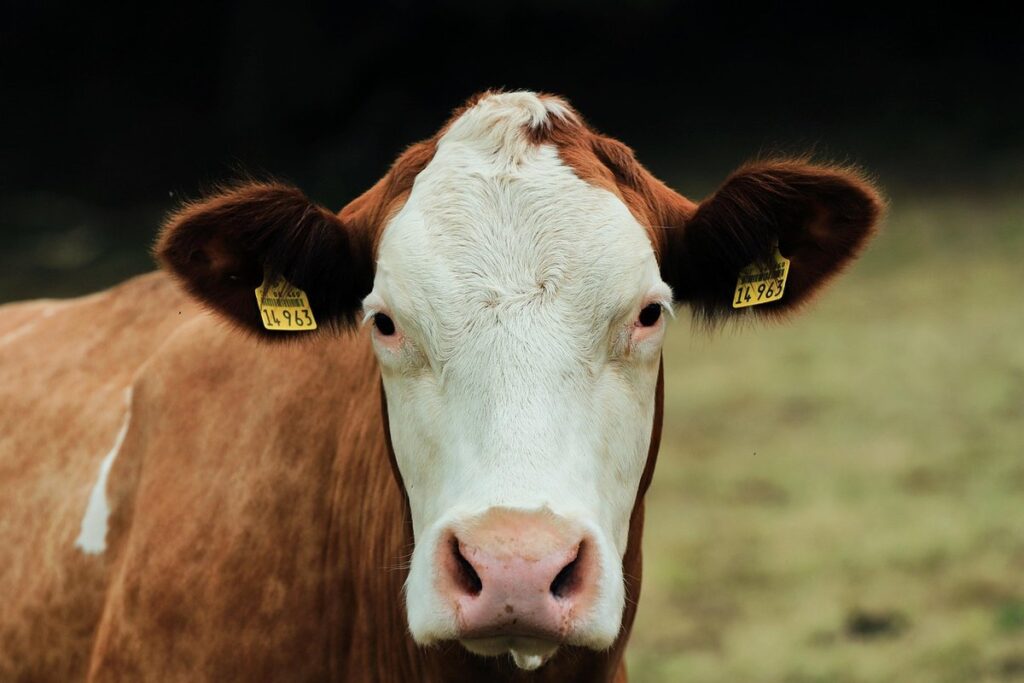 pasture management for gardens