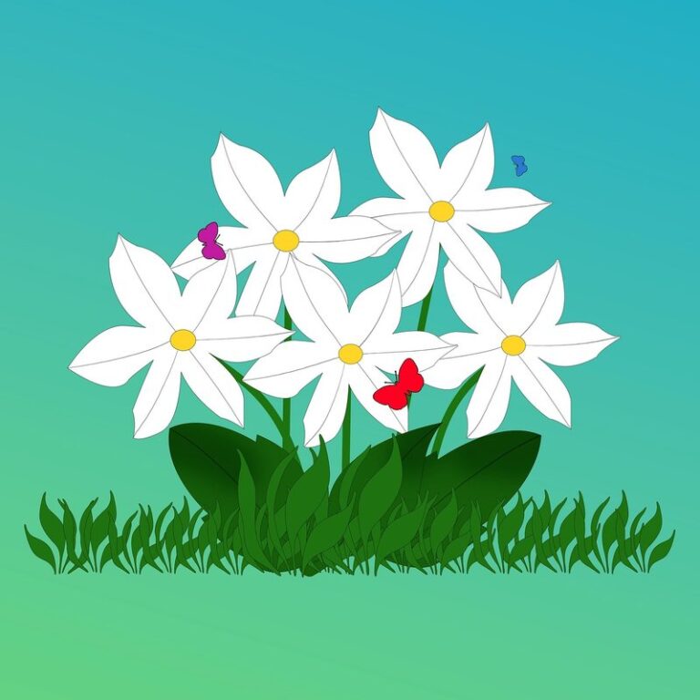 fun facts about plants