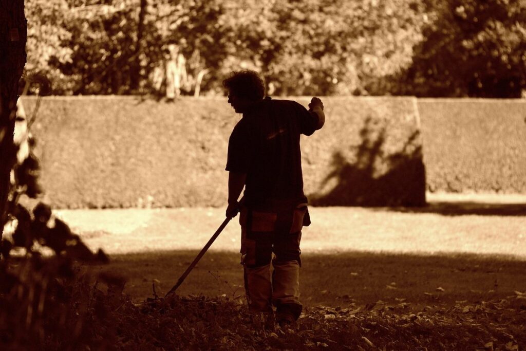 raking lawn