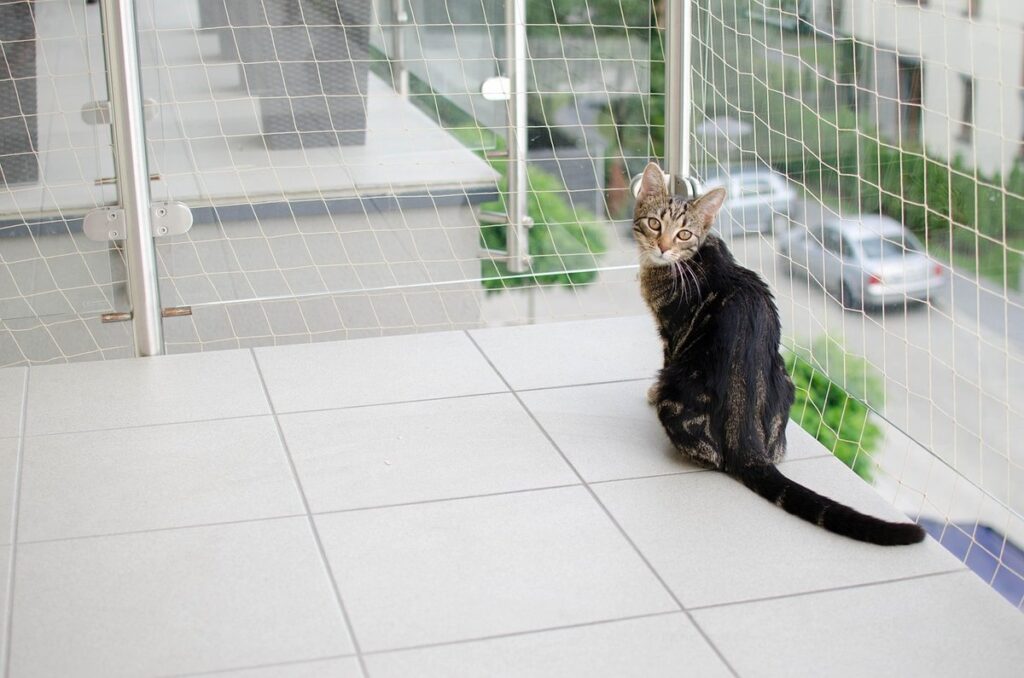 spathiphyllum cat safe