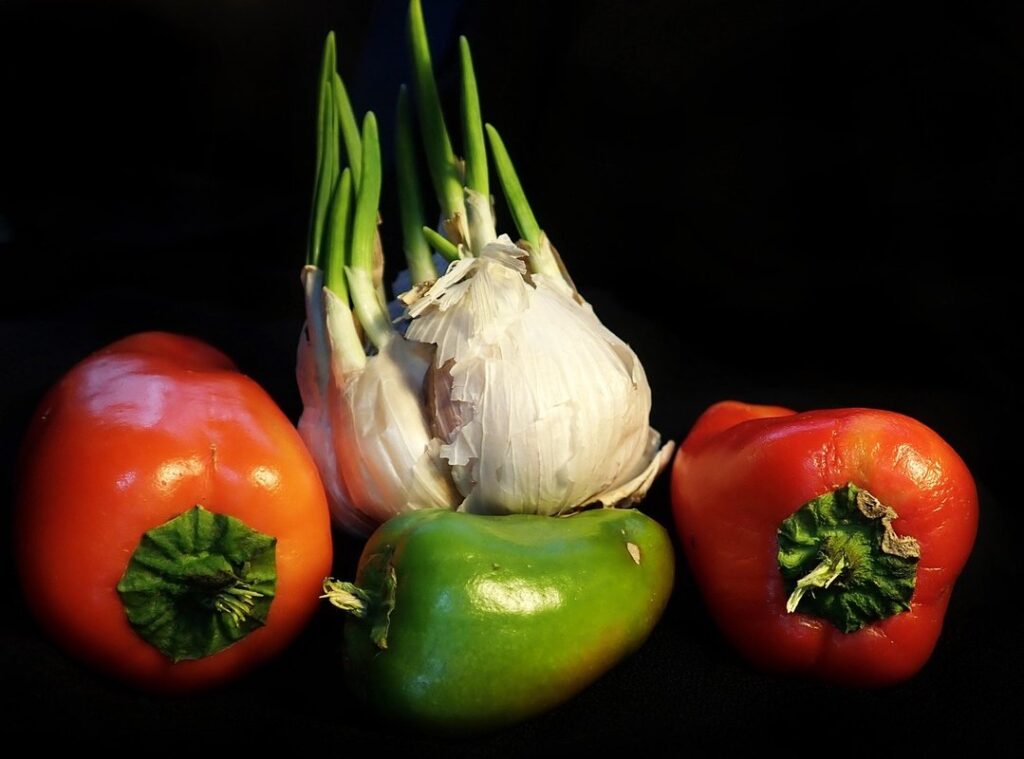 sprouting garlic