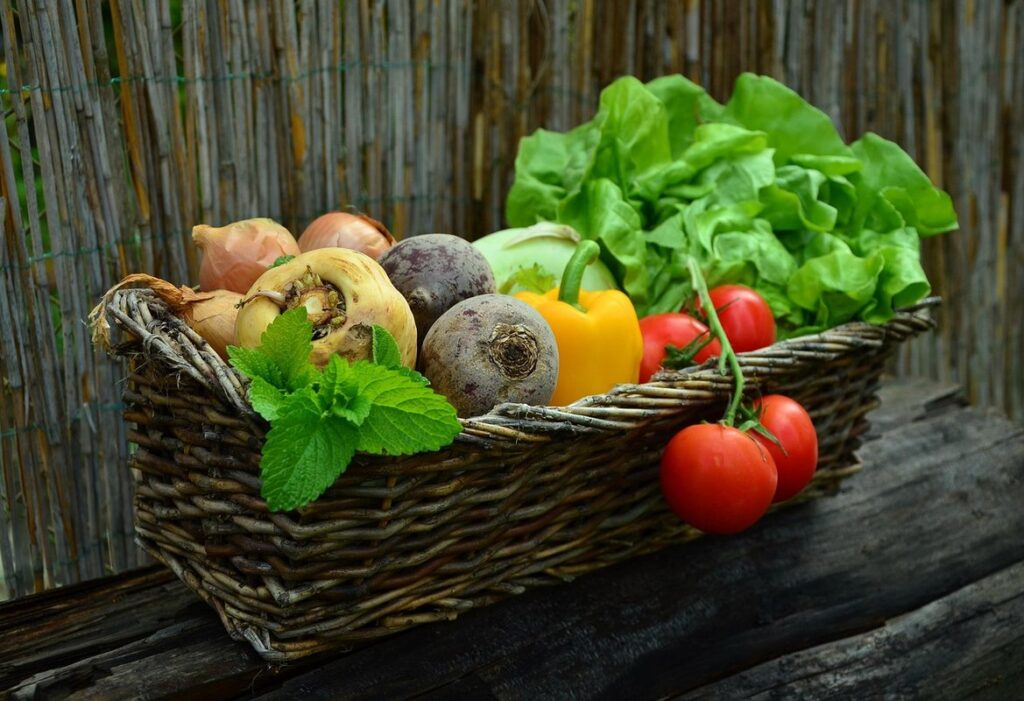 when to harvest a tomato
