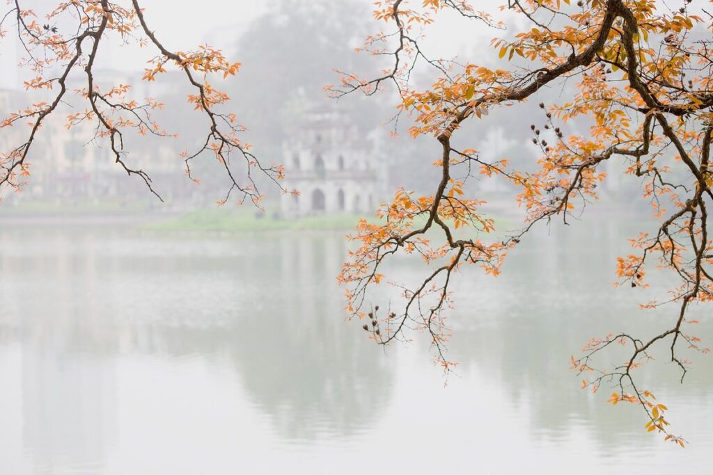 tong ho