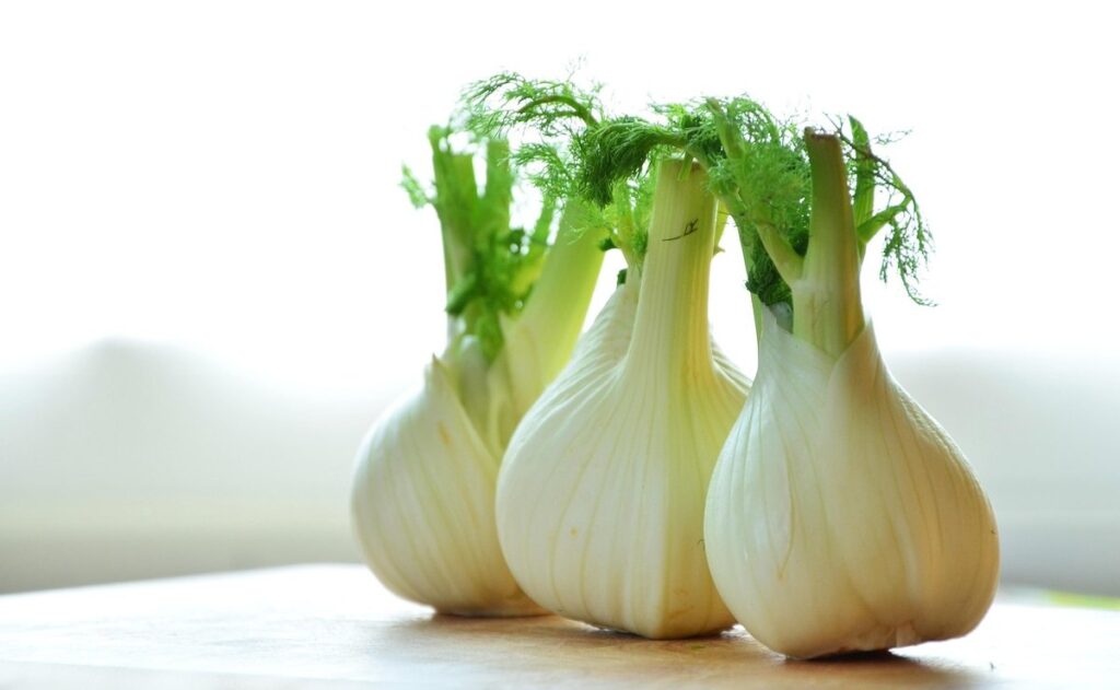 what is fennel