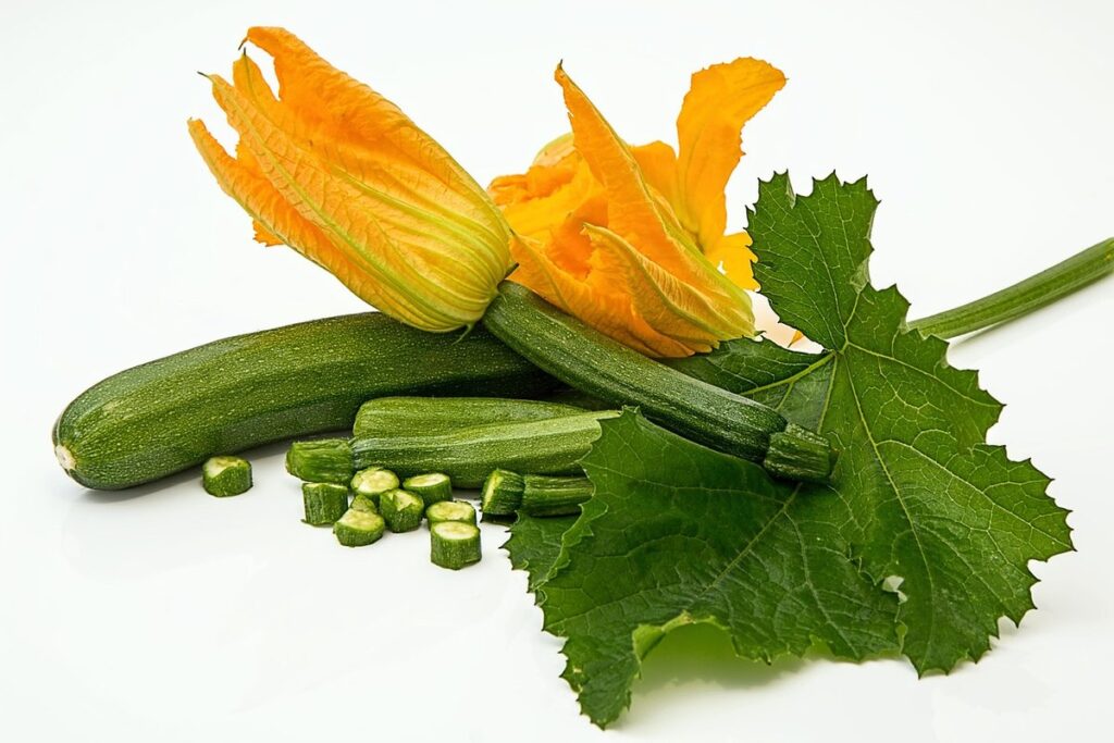 giant zucchini squash