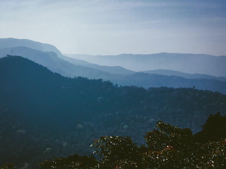 air layering fruit trees -> air layered trees