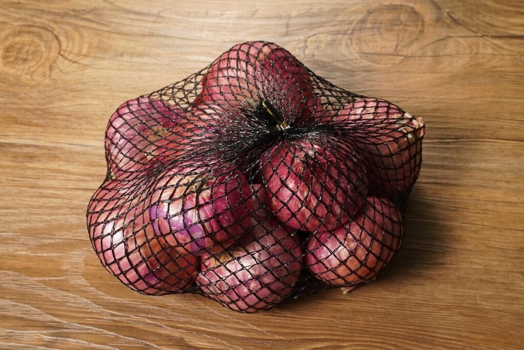 how to grow big onions