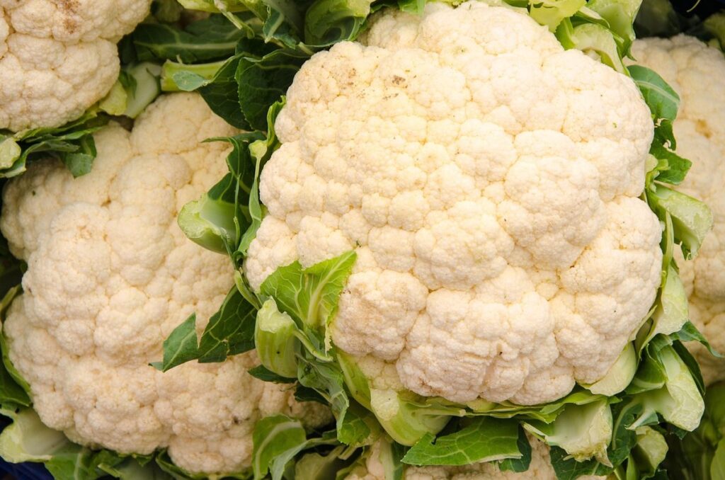 growing cauliflower heads properly