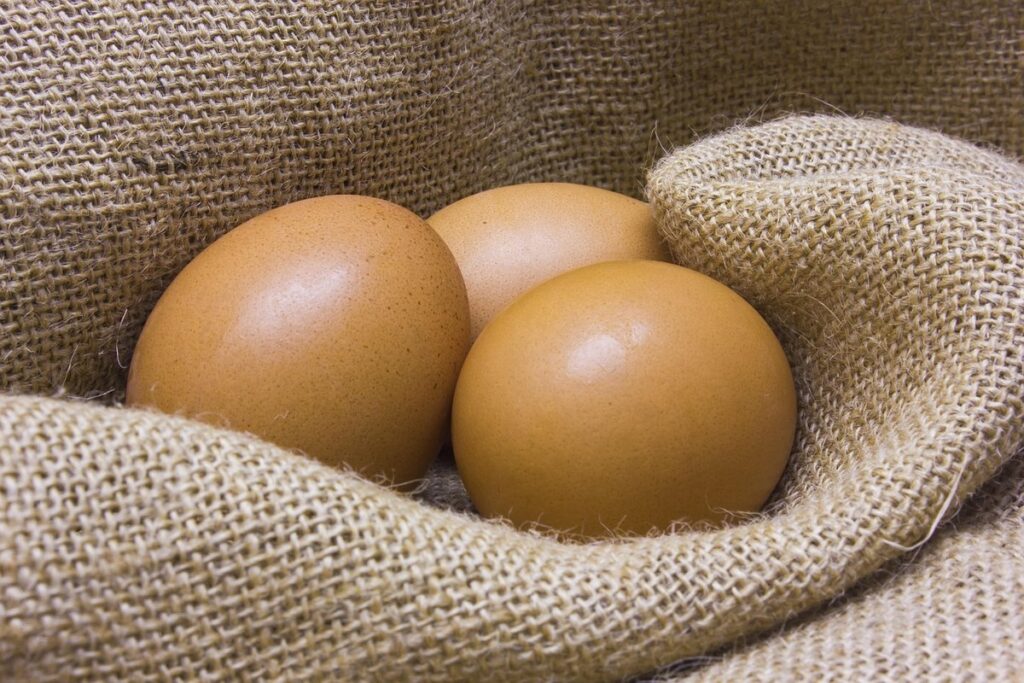 is chicken fertilizer good
