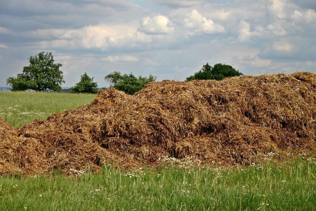 compost bins for chicken manure