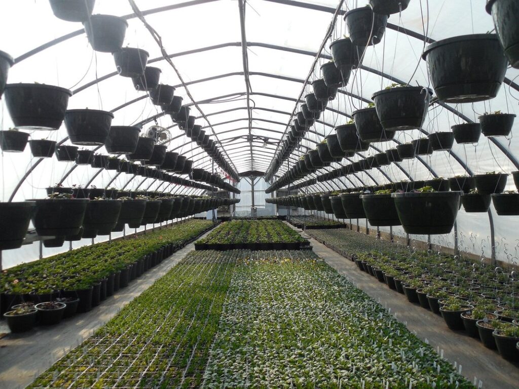 container vegetable greenhouse