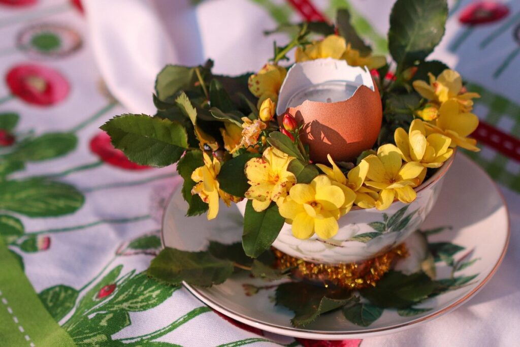 eggshells in the garden facts