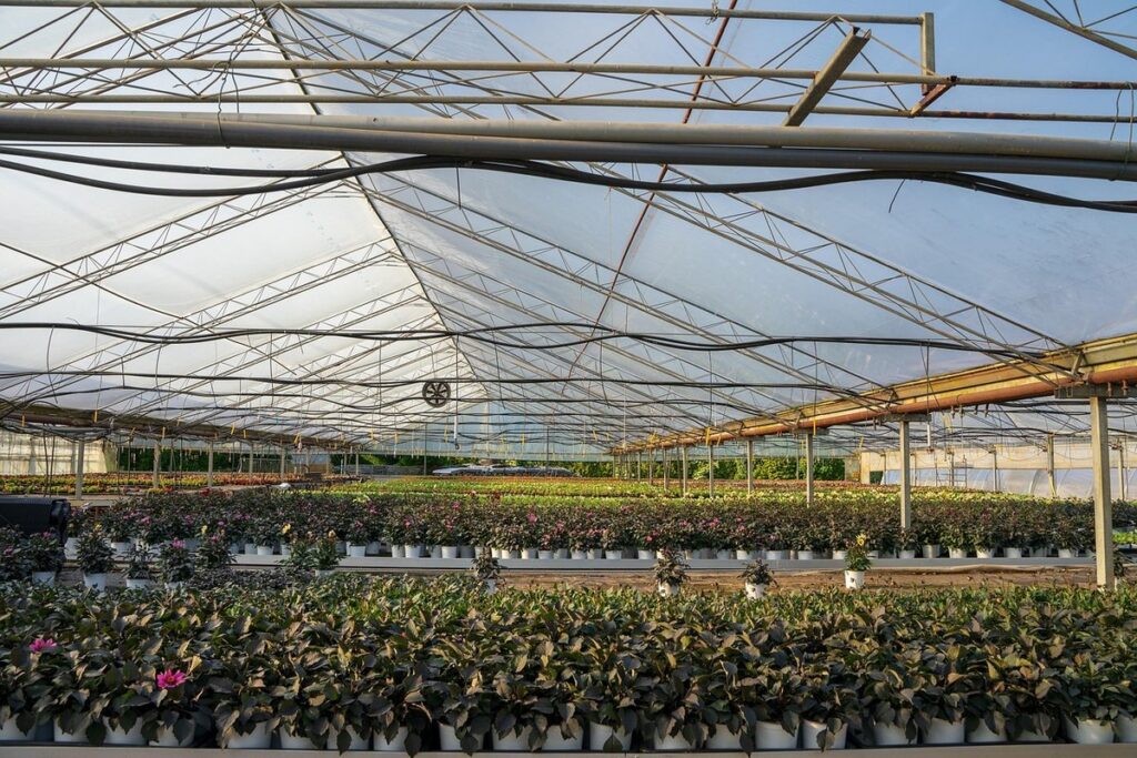 how to operate a greenhouse
