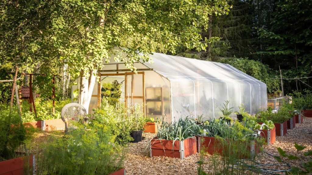 greenhouse vegetable gardening